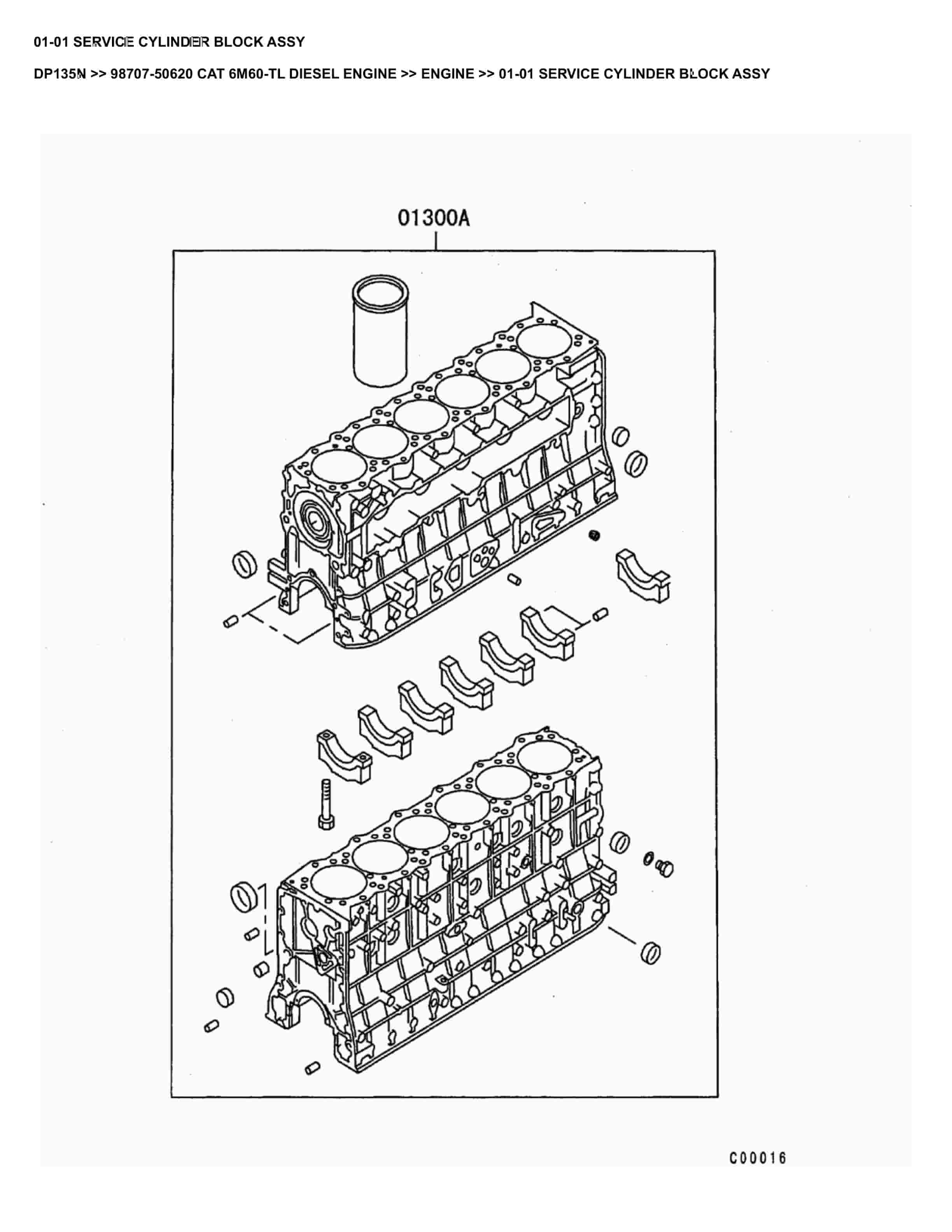 Caterpillar DP135N Parts Manual 98707-50620